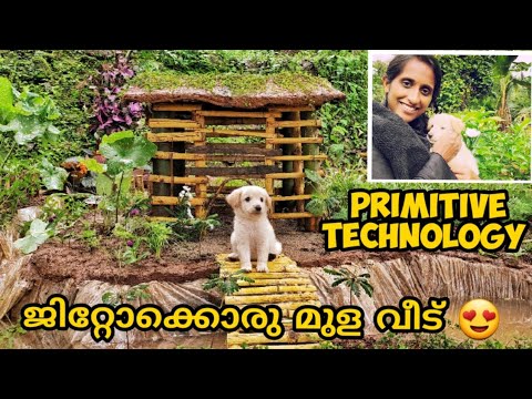 building bamboo house for my cute puppy with fish pond/beautiful bamboo house/primitive technology