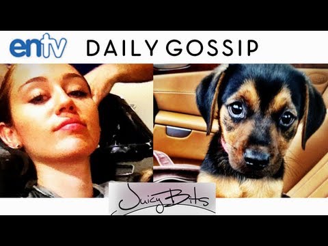 Miley Cyrus and Liam Hemsworth Adopt Cute Puppy: Rescued 'Happy' Outside a Walmart: ENTV