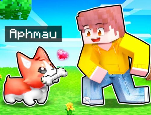 5 Minecraft Puppy PRANKS To Help Your FRIENDS!