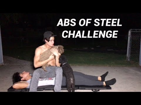 ABS OF STEEL CHALLENGE (W/ CUTE PUPPIES!)