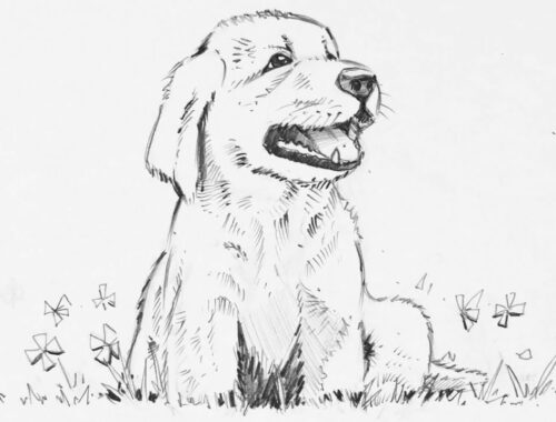 How to Draw a Dog | Cute Puppy Dog Easy Pencil Drawing