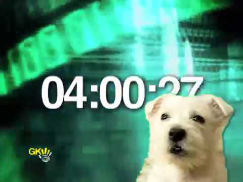 Cute Puppy with Cute Bark Countdown for Kids