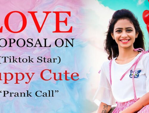 Love Proposal Prank On TikTokStar Puppy Cute #Prankstars #Venkatesh #puppycute #2020  #teluguprank