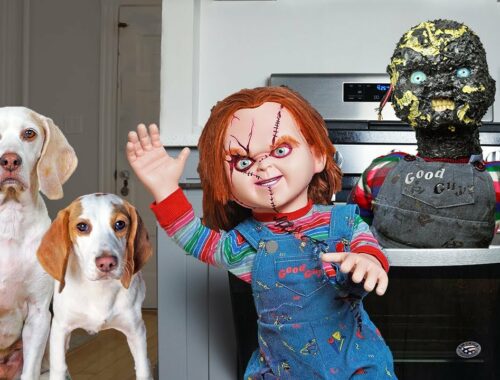 Dogs Melt Chucky in Oven: Cute Puppy Indie & Funny Dogs Maymo & Potpie vs Chucky Prank!