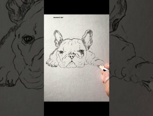 Cute Puppy Pug pencil drawing #shorts #art #artist