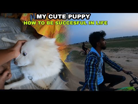 MY CUTE PUPPY | RECOVERY DAY | HOW TO BE SUCCESFUL IN LIFE | VikashBT