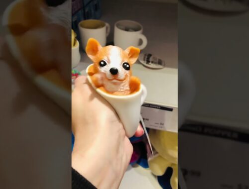 Cute Puppy in Cup  #shorts#trending#viral