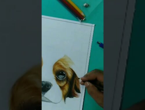 Cute Puppy Art. || WhatsApp Status || DEV ARTS