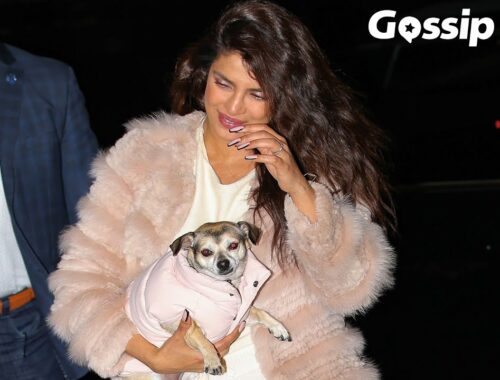 Priyanka Chopra wife of Nick Jonas holds cute puppy as she arrives back at her hotel in NYC