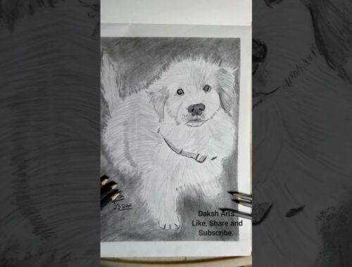 Drawing Cute Puppy Dog. #shorts #drawing