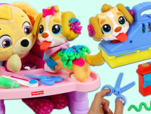 Paw Patrol Baby Skye Adopts a Cute Puppy and Visits the Pet Vet Toy Hospital for a Doctor Checkup!