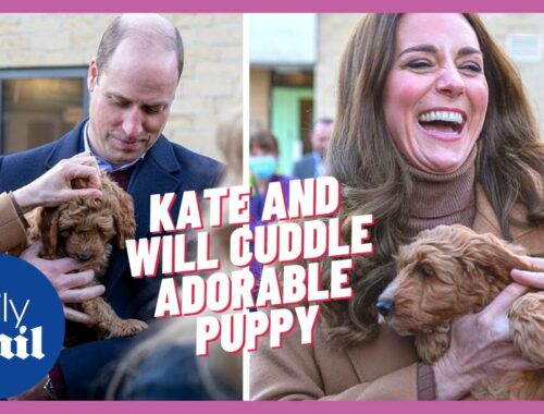 Kate Middleton and Prince William cuddle cute therapy puppy