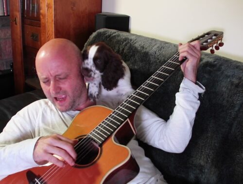 Playing fingerstyle acoustic guitar with a cute puppy chewing my ear. Funny pet video.