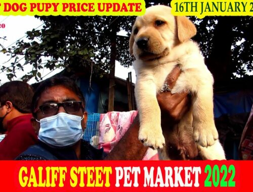 RECENT DOG PUPPY PRICE UPDATE AT GALIFF STREET MARKET KOLKATA | CUTE PUPPY | 16TH JANUARY 2022VISIT