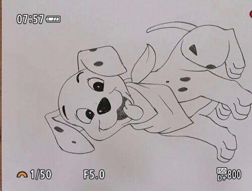 Pencil drawing of cute puppy@Taposhi arts Academy