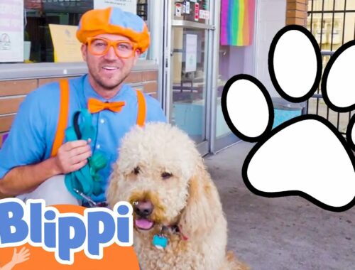 Cute Puppy Song | BLIPPI | Educational Songs For Kids