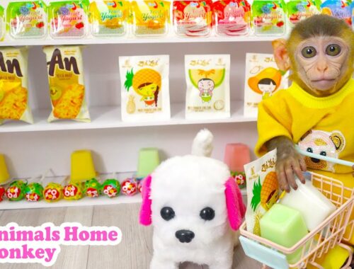 Smart Bi Bon goes candy shopping with his cute puppy