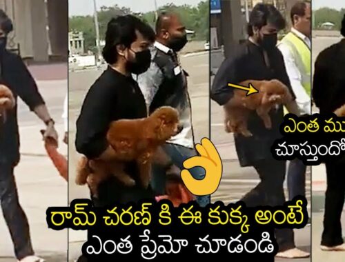 Ram Charan Cute Moments With His Cute Puppy  | Ram Charan latest | RRR Success Party | NTR | RRR