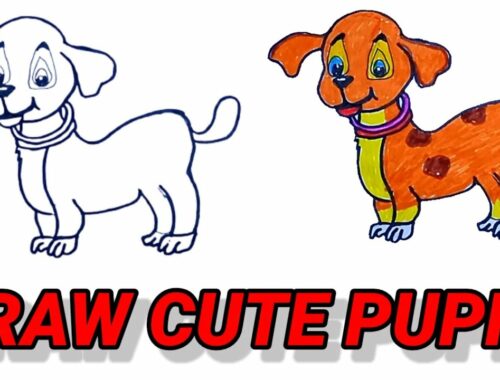 How to draw a cute puppy in easy and simple way for beginners