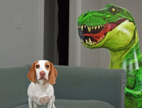 Puppy vs Dinosaur Prank! Cute Puppy Indie Battles Dinosaurs