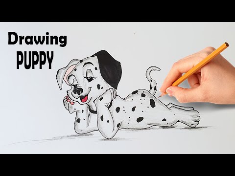 How To Draw A Cute Puppy