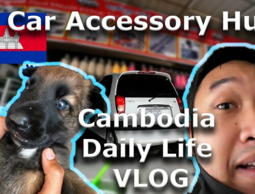 Cambodia daily life vlog: Car Accessory Hunt, Cute puppy, Robinhood Charity