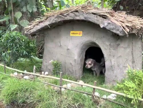 Rescue Cute Puppy Build Mud Dog House & Fish pond