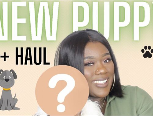 I GOT A NEW PUPPY ONLINE!!! | How to Get a Puppy + Cute Puppy Haul!