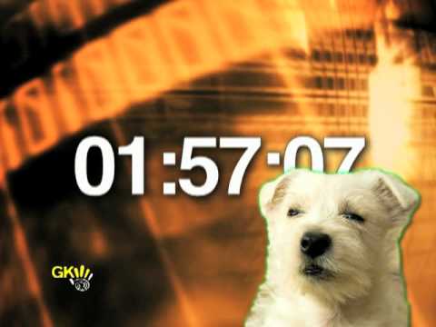 Cute Puppy With A Cute Bark Countdown Sample - God's Kids Worship