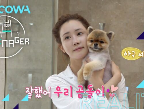 Lee Da Hae's adorable puppy gets a spa treatment  l The Manager Ep 184 [ENG SUB]