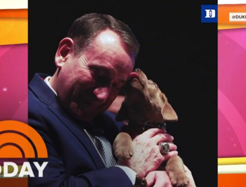 Duke’s Coach K Surprised With Adorable Puppy For Retirement