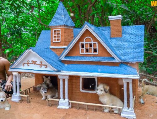Build Mud Villa House For Cute Puppies - Rescue Dog - Dog House