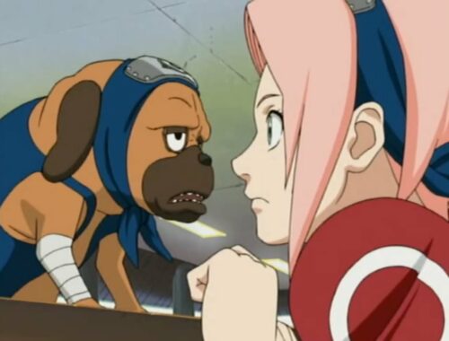 Pakkun isn't a cute puppy - Naruto