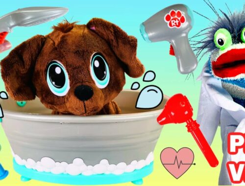 Fizzy the Pet Vet Helps Cute Puppy with a Bath and Adoption
