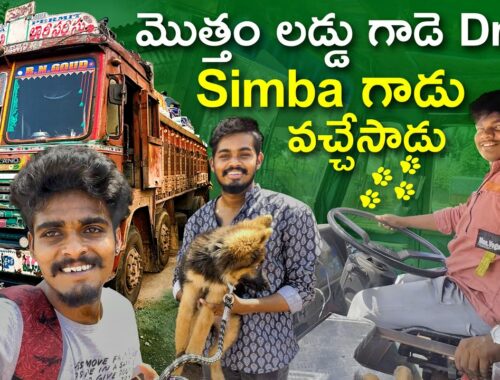 Laddu gade driving motham Simbha is back cute puppy manatruckvlogs