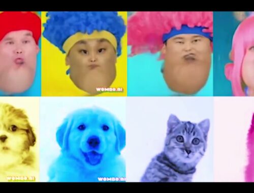 D Billions parody ft cute puppy and cat  || Kuliki Taka Ti