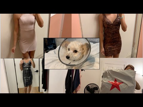 TRYING ON DRESSES, CUTE PUPPY, MACYS, & ft. MY MOM???
