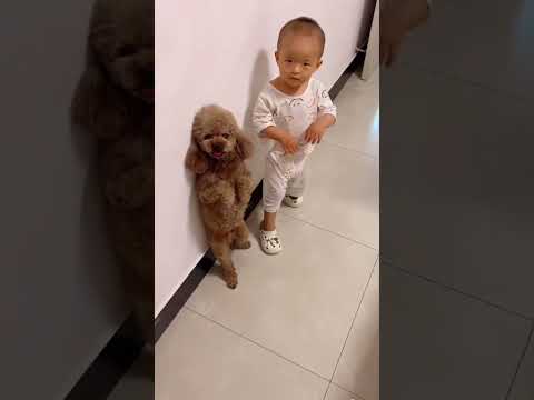 Cute baby with cute puppy looking so lovely