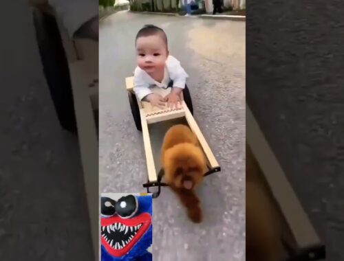 Who's cute? puppy or baby Let's Vote! #shorts | huggy wuggy