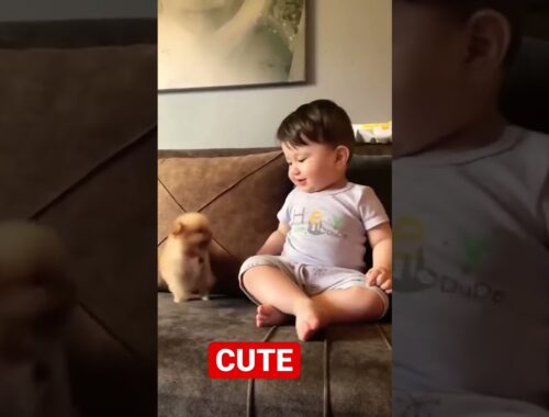 CUTE BABY PLAYING WITH CUTE LITTLE PUPPY  #shorts #cute #puppy #baby