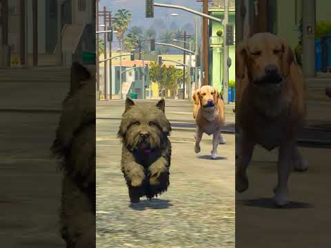 GTA V MICHAEL SAVING CUTE PUPPY FROM ANGRY DOG #shorts | SaiFX Gaming