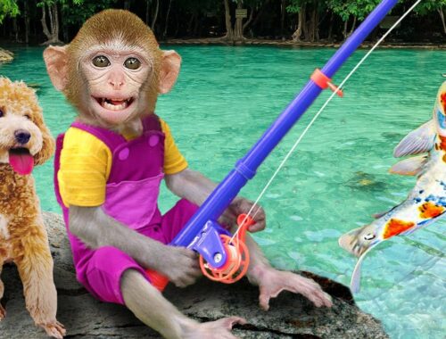 Baby monkey Kiki goes FISHING with Cute Puppy so funny | Monkey Baby Challenges