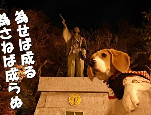 ビーグル犬とパワースポット巡り　～山形県米沢 上杉神社～
