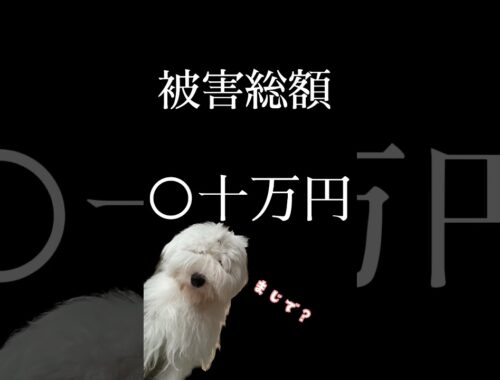 【被害総額○十万円？！】犬を愛するイヌが犬に会えなくなったら悲惨なことになります。