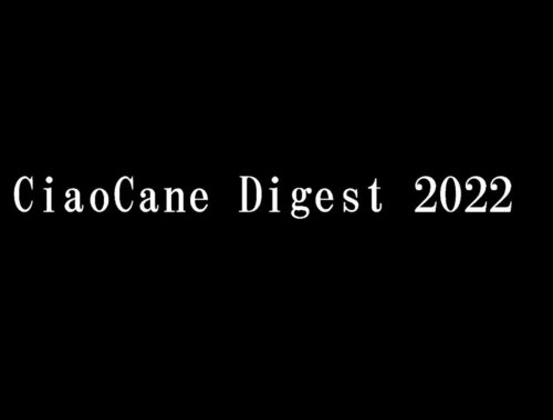 CiaoCane Digest 2022【ヨークシャーテリア専門犬舎チャオカーネ】
