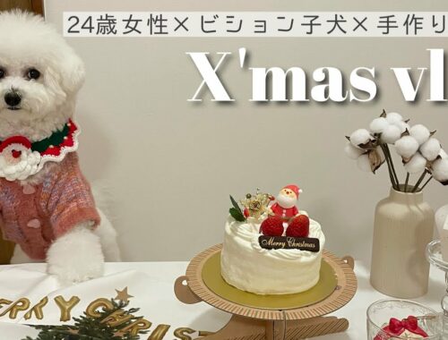 【X'mas vlog】手作りおやつにディナー 24歳女性とビション子犬のクリスマスの過ごし方