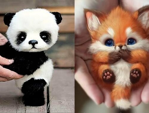 10 Cutest Baby Animals That Will Make You Go Aww