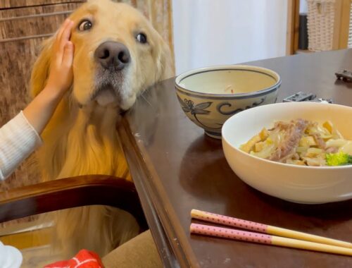 ねぇねのご飯中に、すごい圧で食事の手を止めさせる愛犬