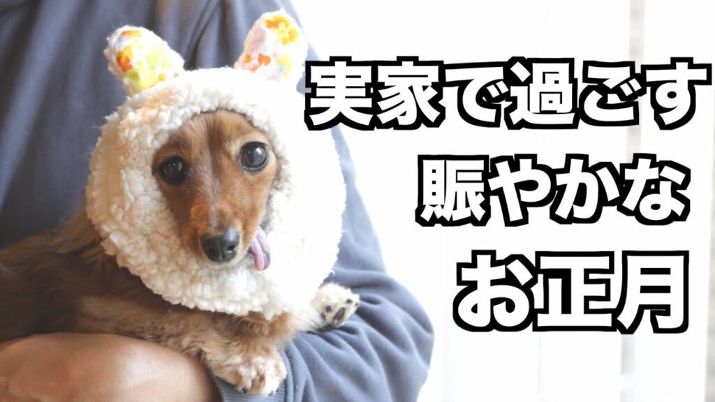 【自慢したいパパ】ウサギになってママの実家で過ごすお正月【カニンヘンダックスえびすの日常】 【自慢したいパパ】ウサギになってママの実家で過ごすお正月【カニンヘンダックスえびすの日常】