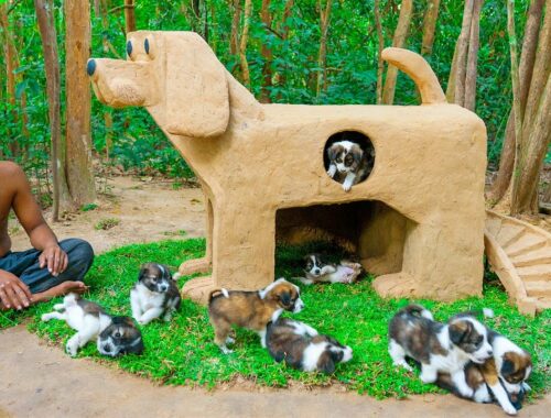 Build Mud Dog House For Rescued Puppies And Craft House